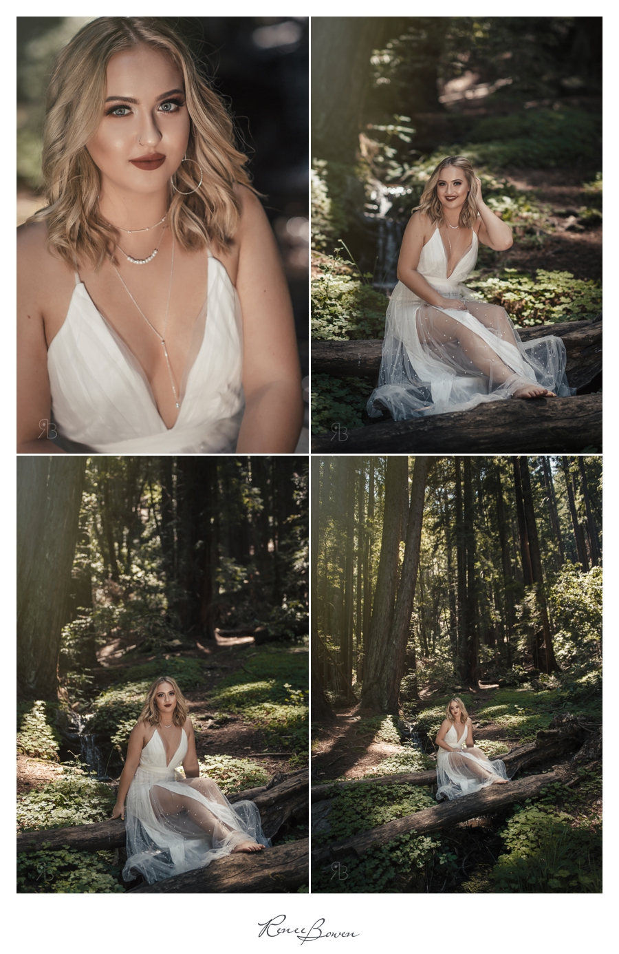 Kaiely Blogs