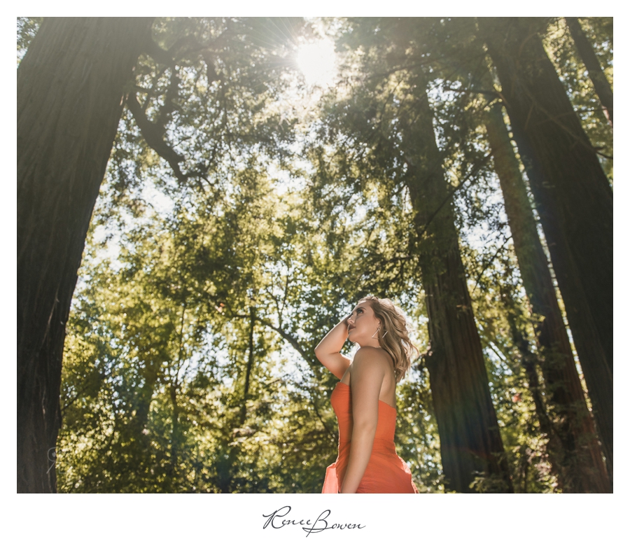Kaiely Blogs