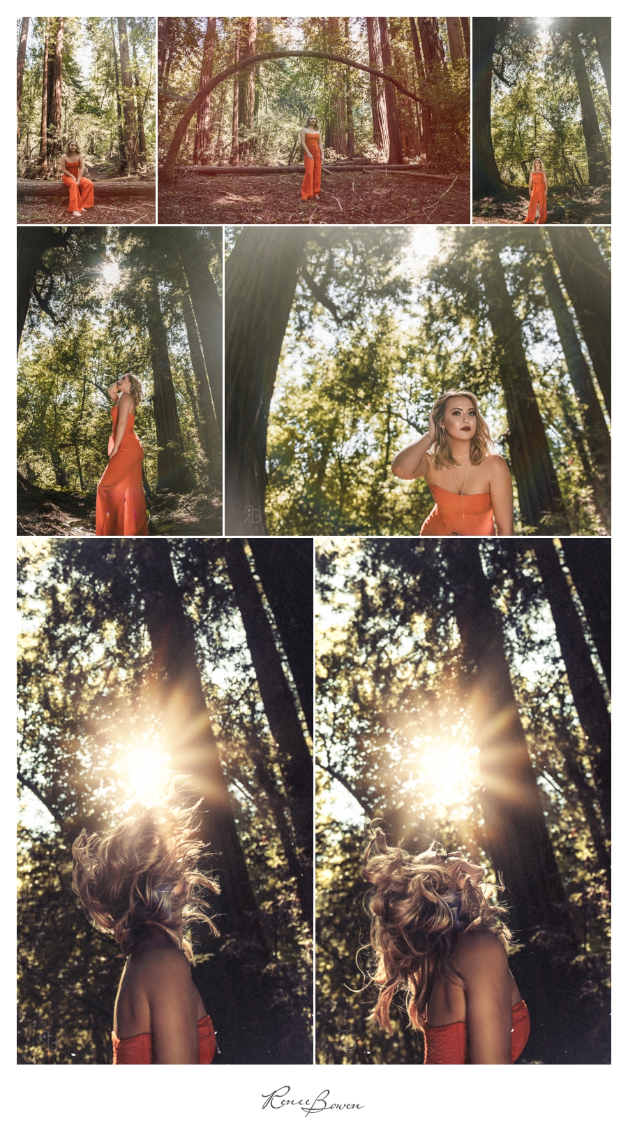 Kaiely Blogs